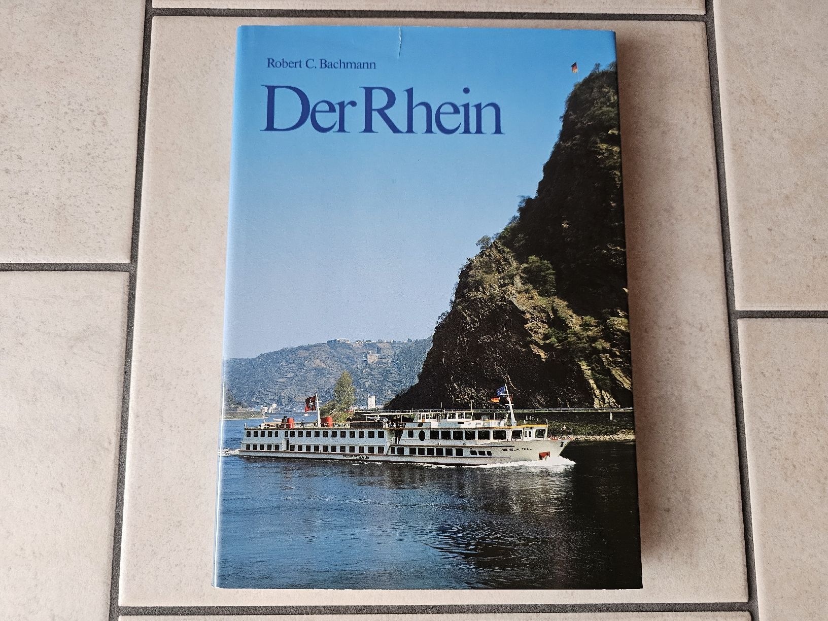 Libri: Der Rhein  /  176 Seiten – Usato da Schneisingen venduto da backstore24