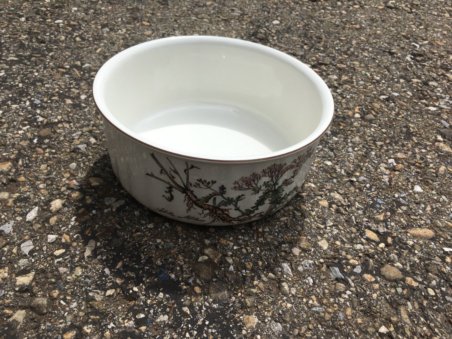 Villeroy & Boch Teglie da forno: Villeroy & Boch Botanica Backform Migrowellen sicher – Usato da Marbach LU venduto da Hoheduene