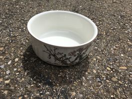 Villeroy & Boch Botanica Backform Migrowellen sicher