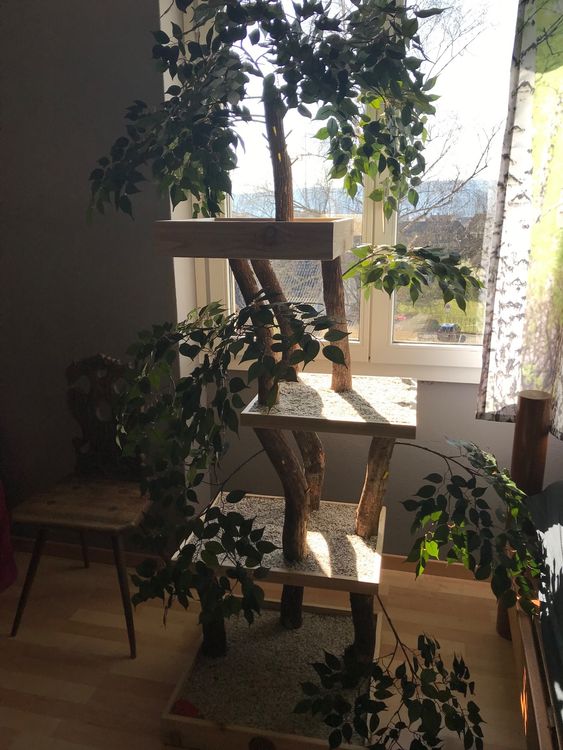 Dekorativer Katzenbaum Pet Tree Houses Kaufen auf Ricardo