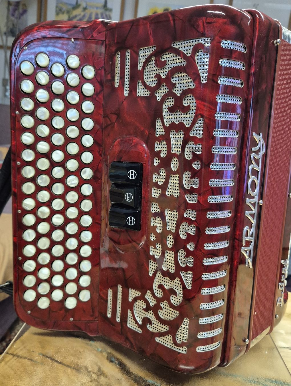 Strumenti musicali: Handorgel Herzig Armony – Usato da Zweisimmen venduto da Kleindietwil 1