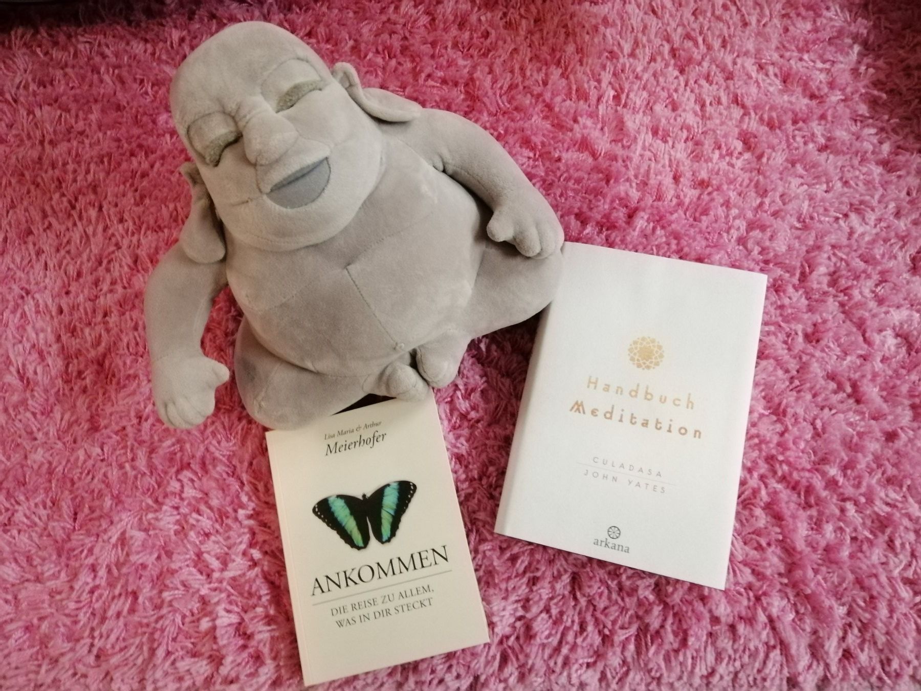 Bücher: Ratgeberbücher und Buddah aus Stoff – Gebraucht aus Villmergen von MONCHHICHI