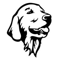🐾Charmantes Golden Retriever Motiv: Wand & Auto! Schwarz 💫