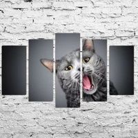 🔥🐆 WALLXPERT „Saul“ Wild Cat 5-teilig 🐆✨
