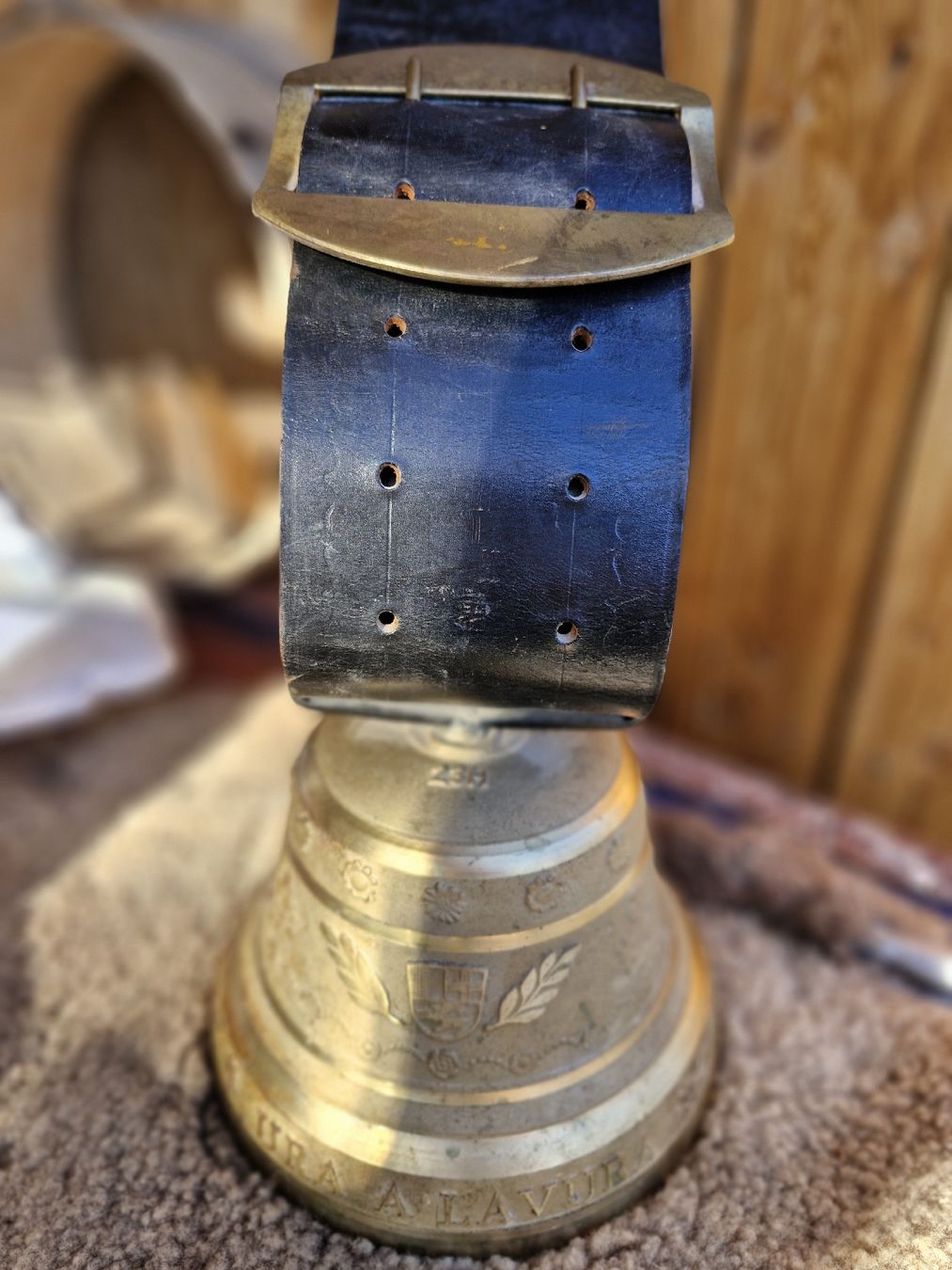 Campanacci mucche: Glocke Treichel – Usato da Guarda venduto da rue_bpd7