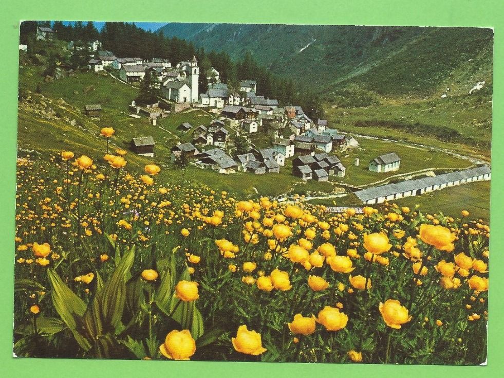 Cartoline postali: Bosco-Gurin – Usato da Zürich venduto da t24_de
