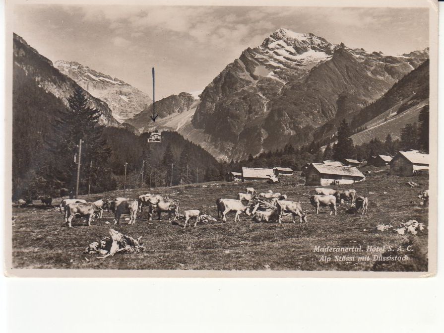 Ansichtskarten: Maderanertal 1938 – Gebraucht aus Bürglen TG von StampGraf