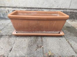 Deroma Blumenkasten Terrakotta 17x18x42 cm & Untersetzer