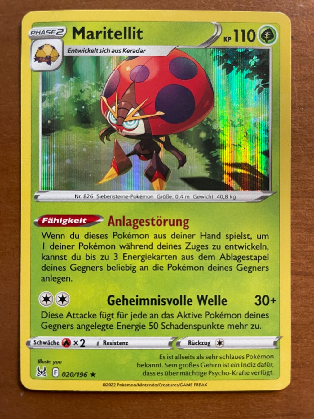 Pokémon Carte collezionabili: Pokemon Maritellit Holo (Versand gratis) – Nuovo (secondo la descrizione) da Chur venduto da Angerson