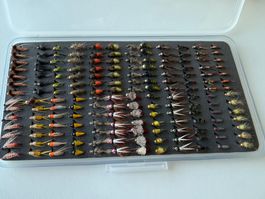 Fliegenset mit 168 Nymphen Nr. 35 in Nymphenbox