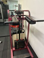 Schnell Standing Calf / Viking press machine