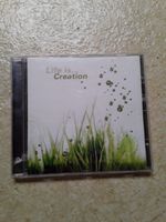 Life Is Creation