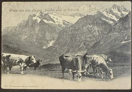AK: Gruss aus den Bergen. Berner Oberland