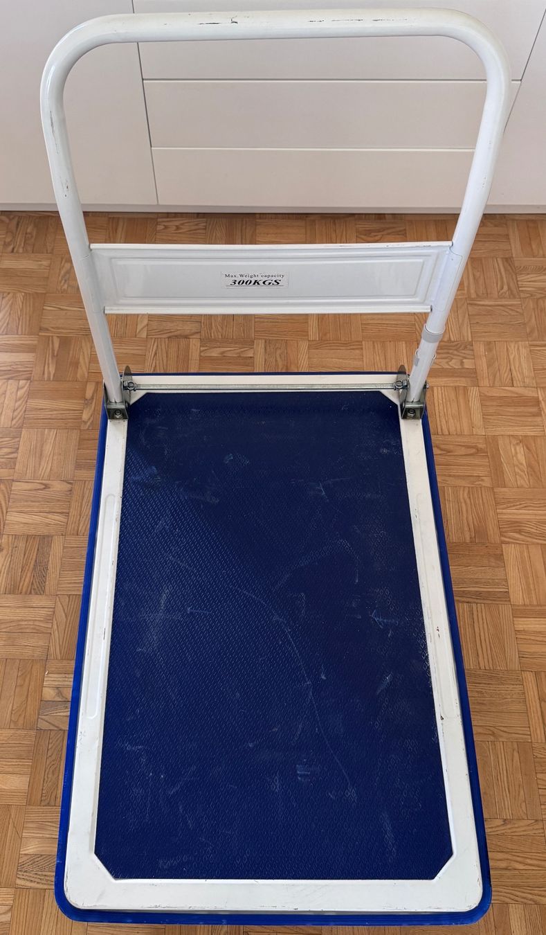 Transportwagen: Platformwagen fur 300 Kg – Gebraucht aus Zürich von Tapehead 2