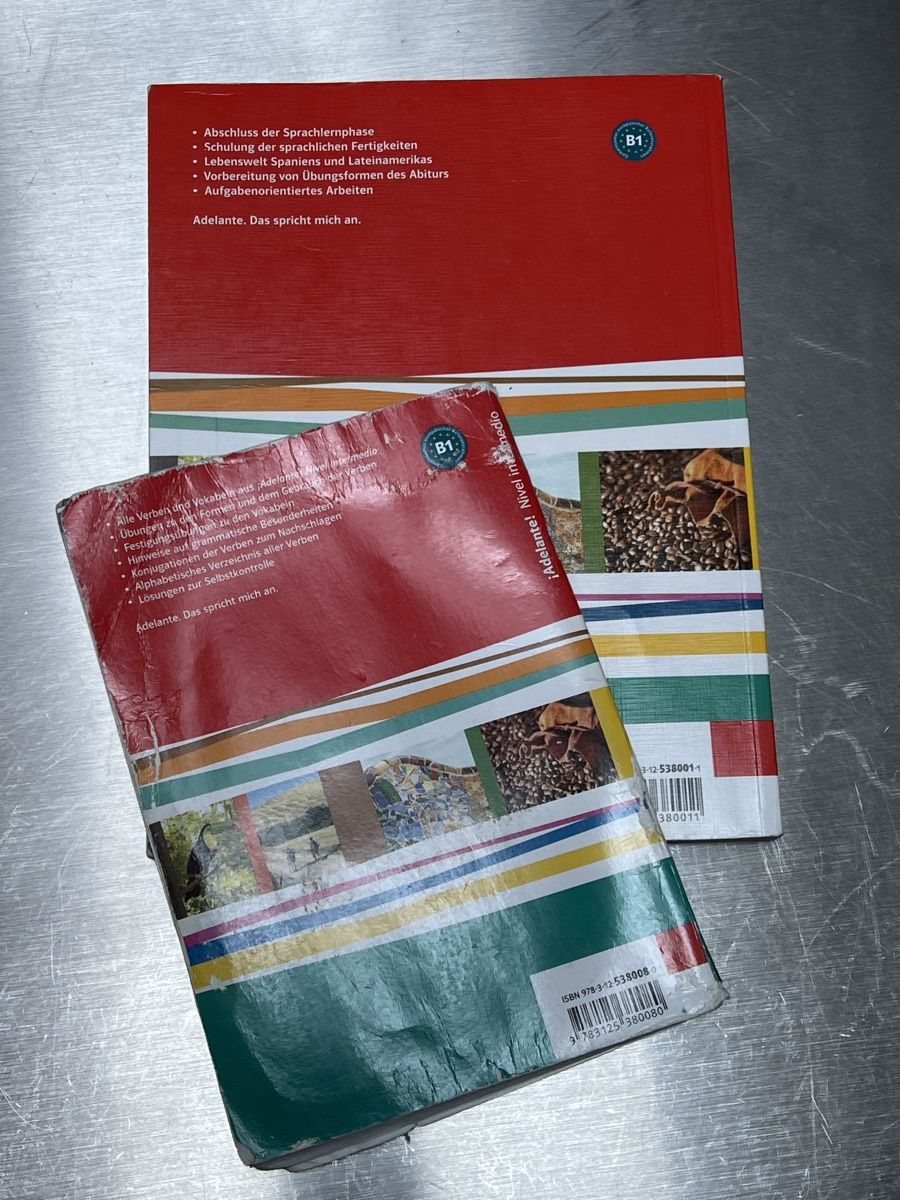 Libri: Adelante Spanischbuch – Usato da Dübendorf venduto da ann_f7mq 1