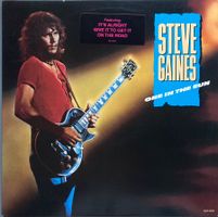 LYNYRD SKYNYRD / STEVE GAINES - ONE IN THE SUN