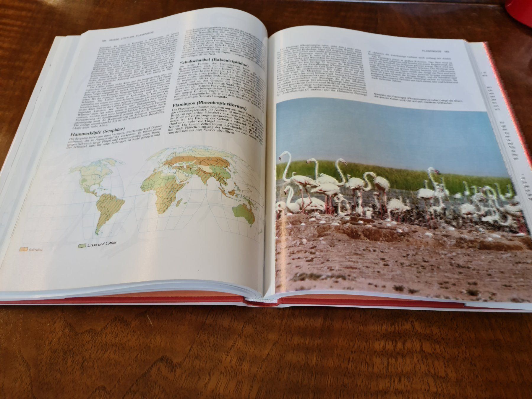 Libri: Die grosse Enzyklopädie der Tierwelt – Usato da Erstfeld venduto da Uhu1980 3