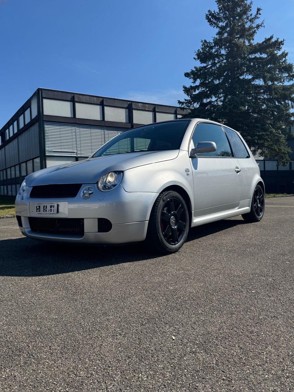 VW Automobili: VW Lupo GTI, super Zustand – Usato da Nürensdorf venduto da donmiguel7