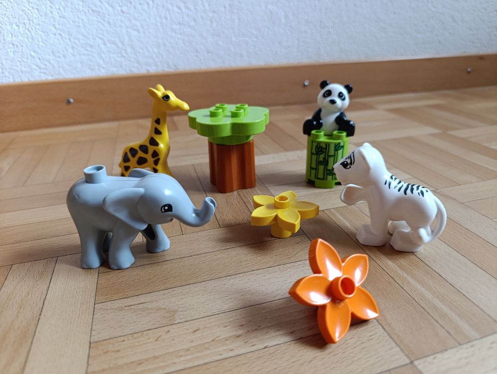Duplo Jouets: Duplo Lego süße Tierkinder – D'occasion à Oberarth par sil_9dfs 1