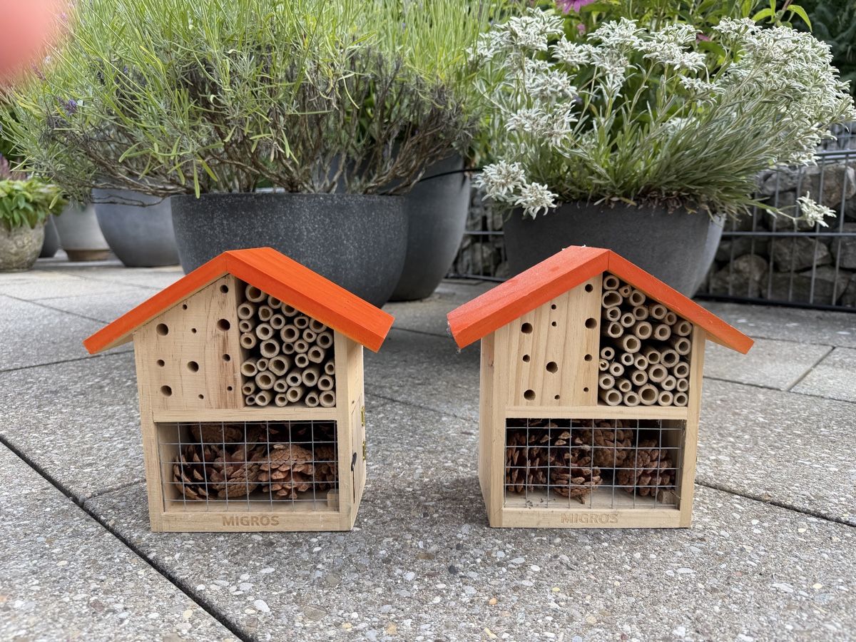 Bienenhäuser: Bienenhaus / Insektenhotel  – Neu (gemäss Beschreibung) aus Gockhausen von Dbielmann