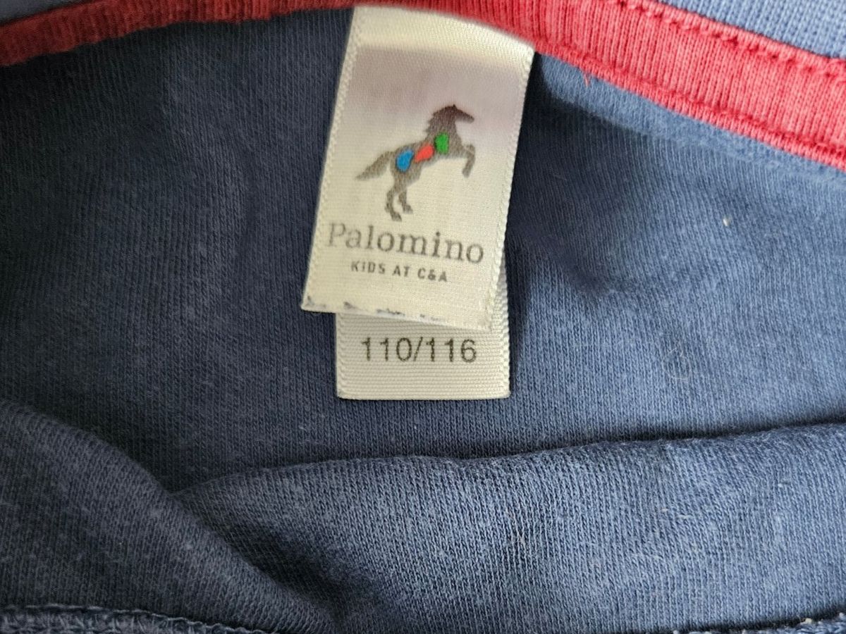 C&A Pigiama & Simili: Langarm Pyjama ca. Gr. 104 / 110 Dinosaurier C&A – Usato da Unterengstringen venduto da saraman 2