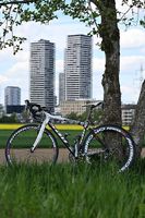 SAB Carbon Road Bike - Shimano Ultegra  (grösse 52cm)