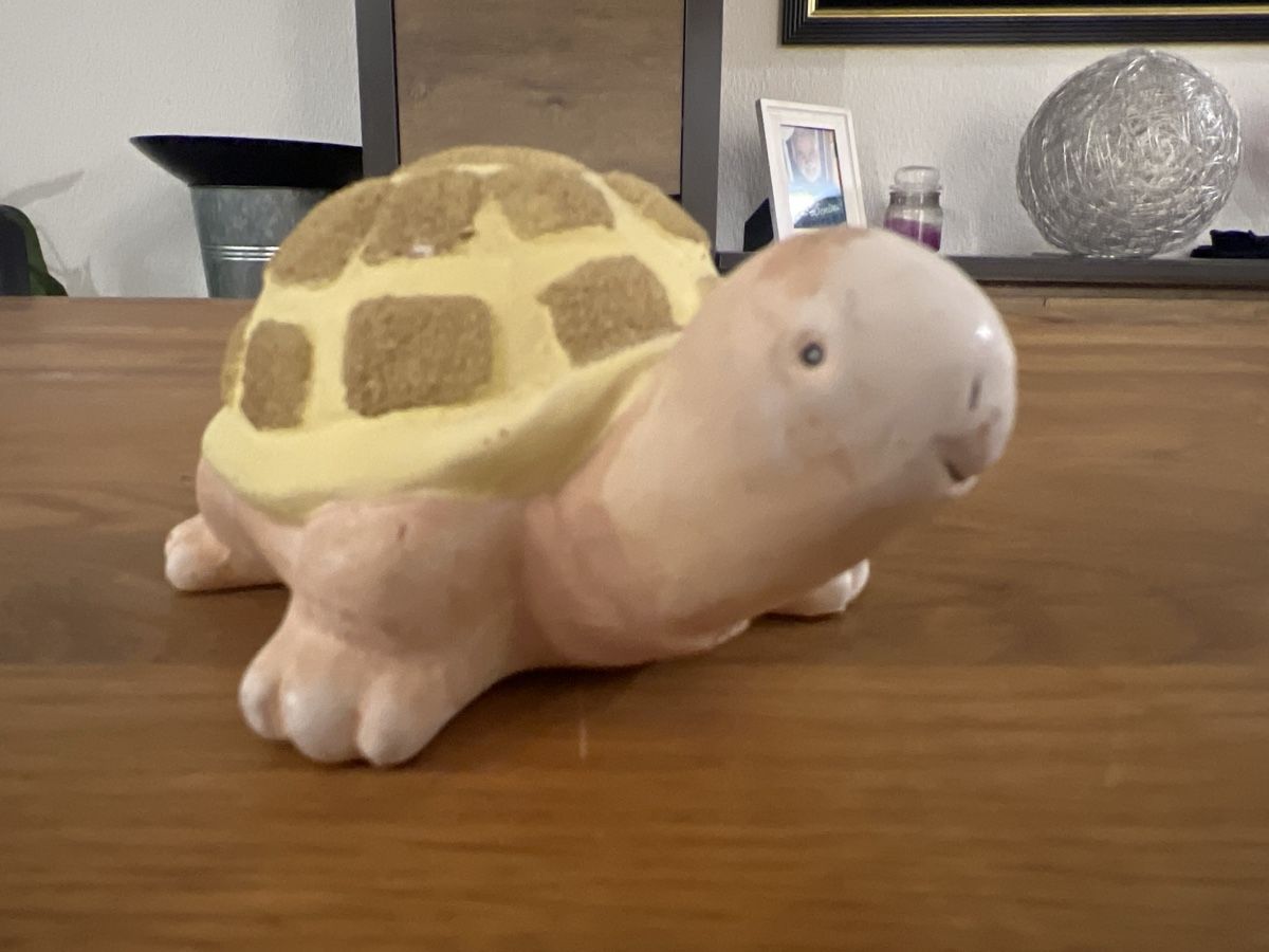 Figuren: Dekorative Schildkröte – Neu (gemäss Beschreibung) aus Uznach von Apuutze