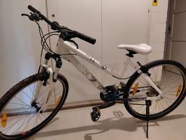Gebrauchtes weißes SCOtt Damenrad, ideal für den Frühling.