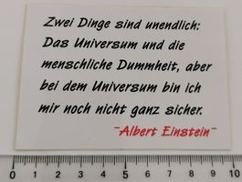 Albert Einstein (Aufkleber, PVC)