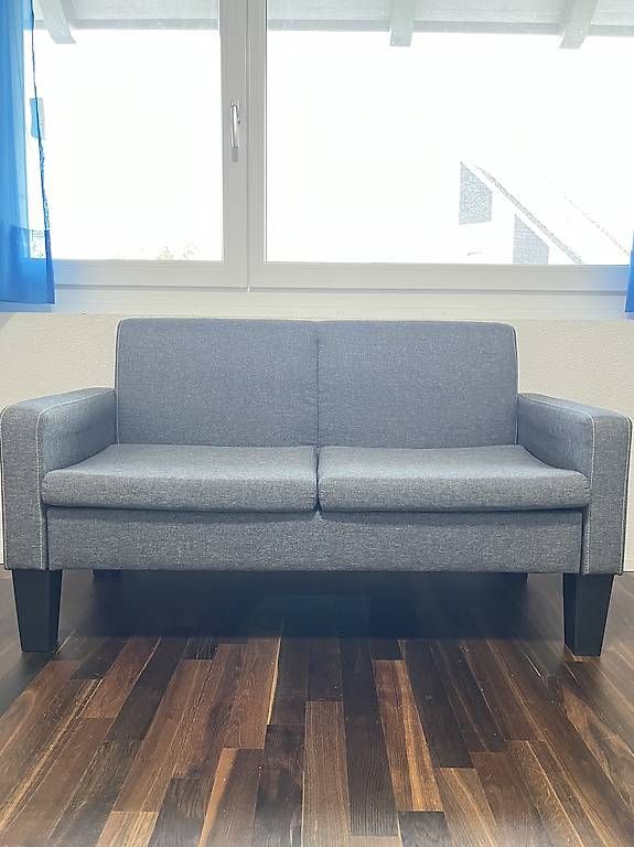 Divani: 2-Sitzer Sofa Grau – Usato da Wasterkingen venduto da ErZozzo