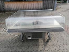 Kühlvitrine kühlschrank gastro