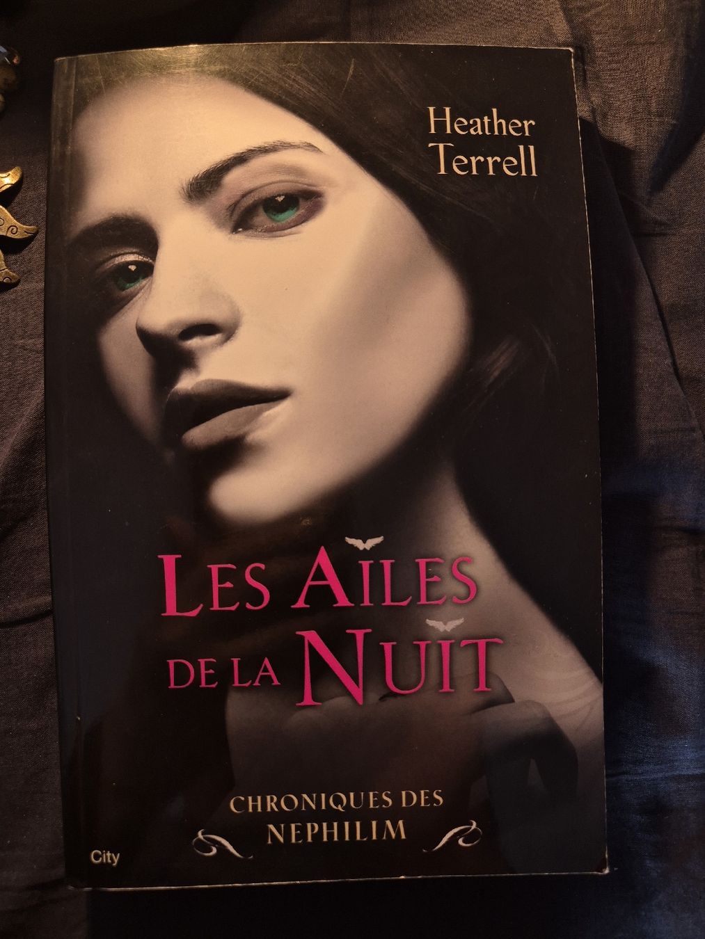 Libri: Les ailes de la nuit - Heather Terrell – Usato da Fleurier venduto da cin_7qkd 1