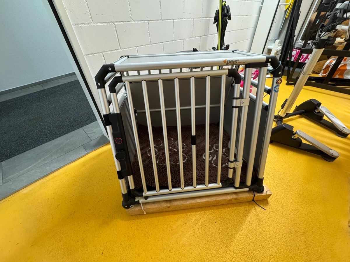 Gabbie, trasporto & Sicurezza: Hundeautobox – Usato da Rüschlikon venduto da Nina0140