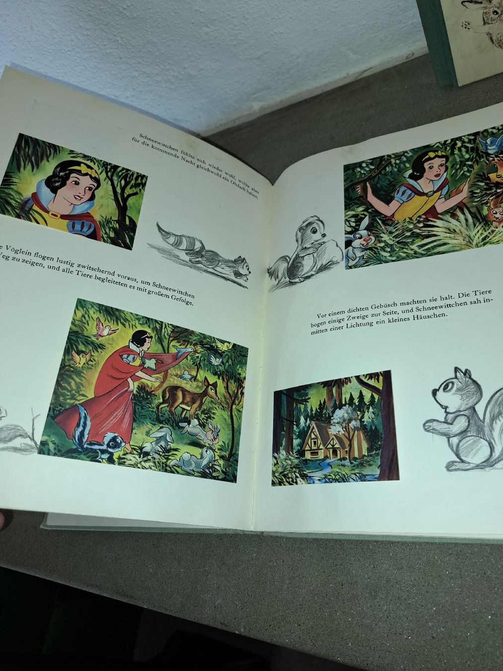 Libri: Alte Kinderbücher: Einheimische Vögel + Purzel-Hasengesch. – Usato da Kölliken venduto da Upcycling-by-Mc-TAM 2