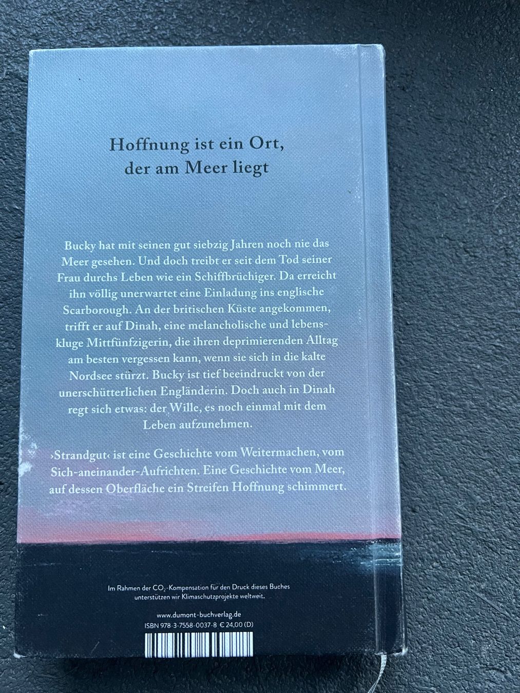 Libri: Strandgut Benjamin Myers – Usato da Novaggio venduto da seri00 1