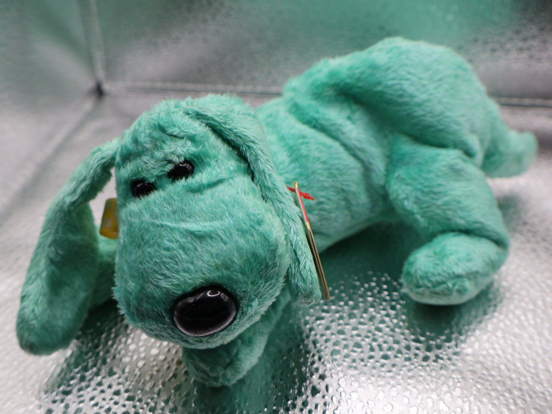 Ty Giocattoli: Ty Beanie Baby  DIDDLEY .. Geb.25.07.2000 – Usato da winterthur venduto da Beanieswis
