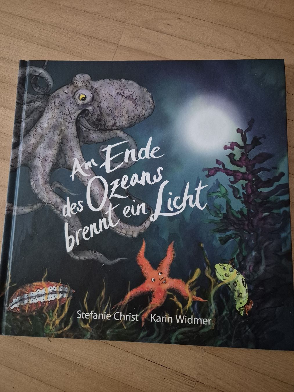 Libri: Kinderbuch am Ende des Ozeans brennt ein Licht – Usato da Bern venduto da grisu_79