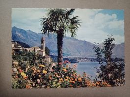 Ronco sopra Ascona Tessin
