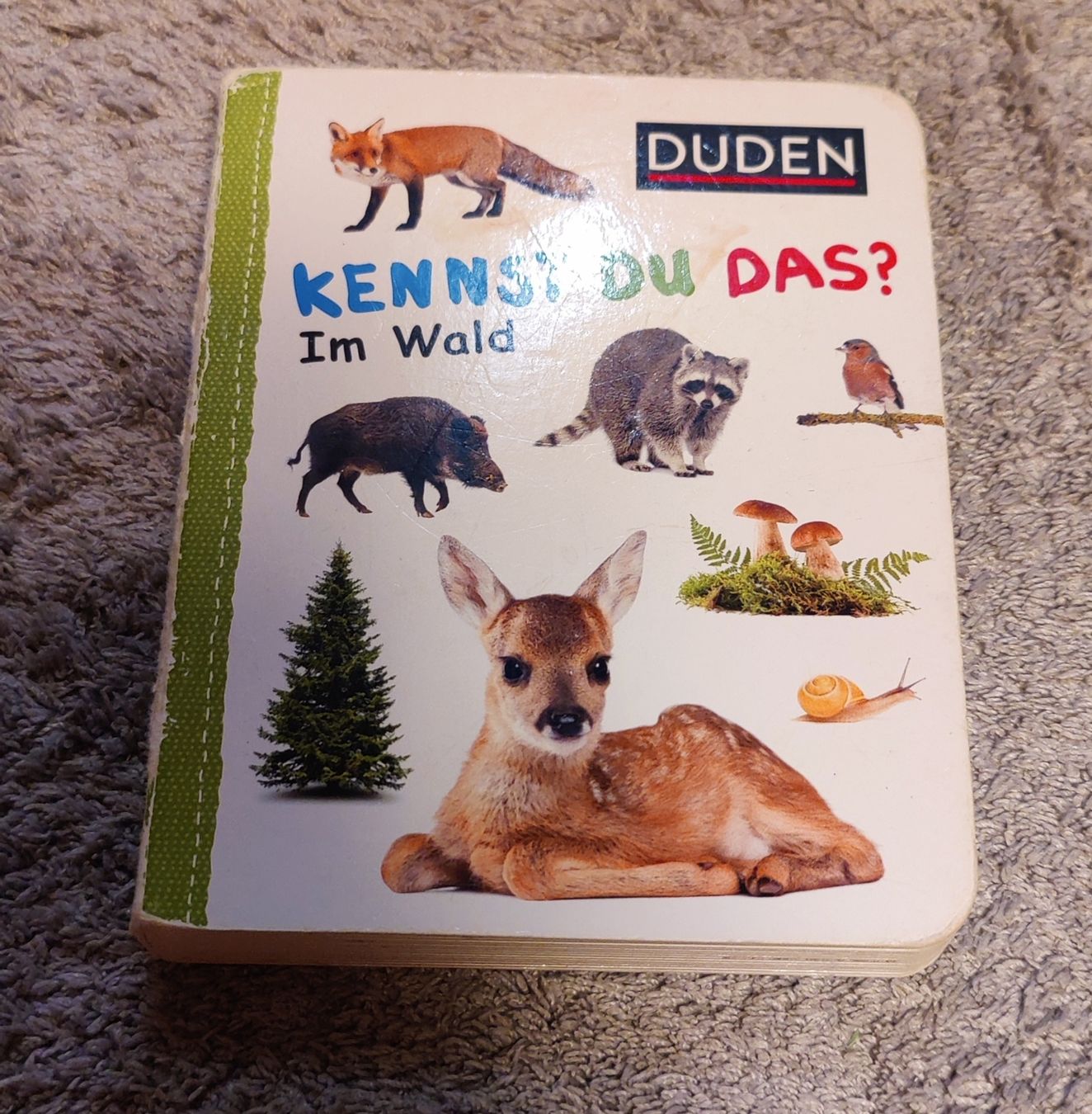 Libri: 4 Bilderbuch-Set: Bauernhof, Eisbär, Wald, Meer – Usato da Binningen venduto da sch_89j7 3