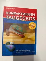 Kompaktwissen Taggeckos
