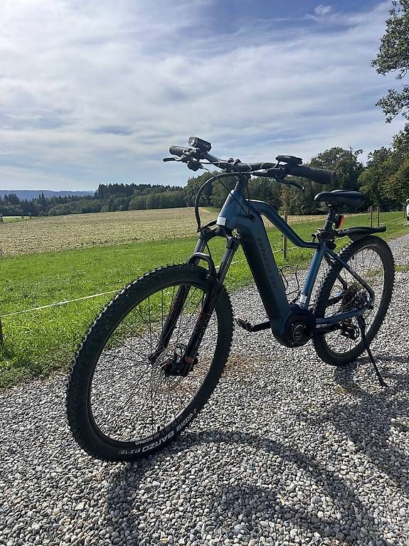 Wheeler Biciclette: Zwei E-Bike – Usato da Raperswilen venduto da pum_w8wc 3