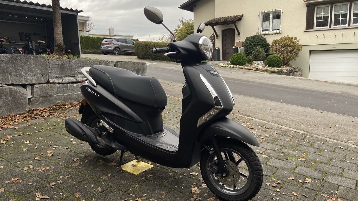 Yamaha Strada: Yamaha D'Elight – Usato da Horw venduto da sungmalibu 4