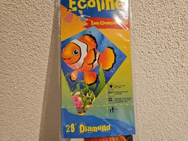 Neu - Drachen - Clownfisch