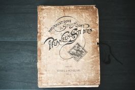 Jugendstil Pflanzen-Studien Thiel & Schkerl Wien 1892