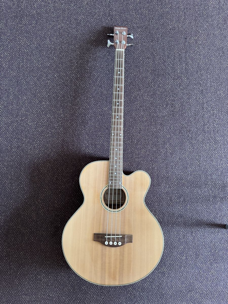 Harley Benton Musikinstrumente: Chitarra basso acustico Harley Benton + custodia Ritter – Gebraucht aus Dietikon von musiko