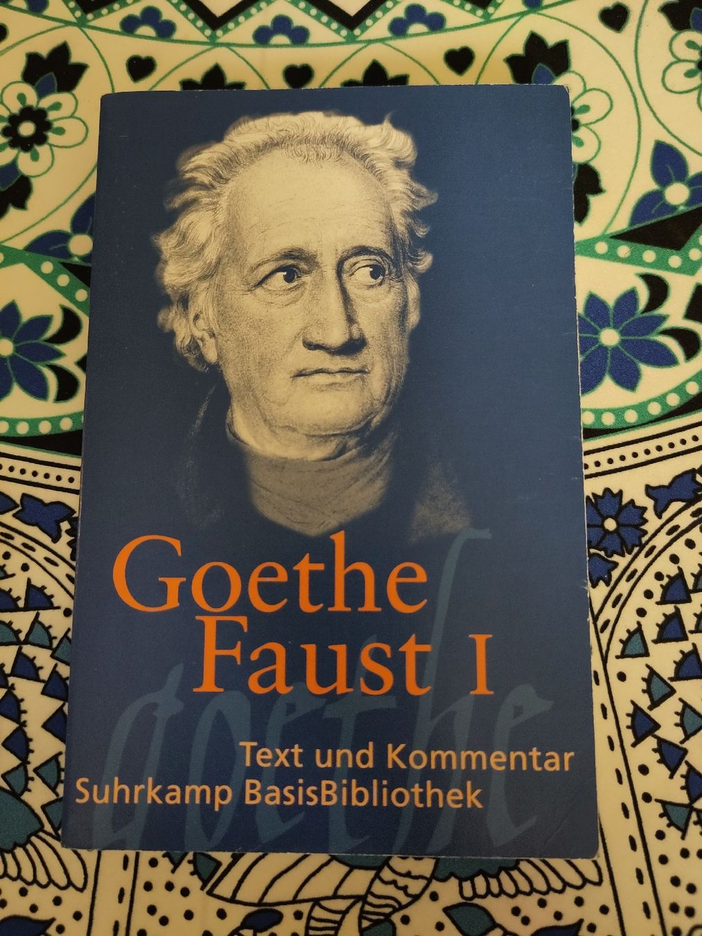 Libri: Faust I Goethe – Usato da Dübendorf venduto da Cocochala8