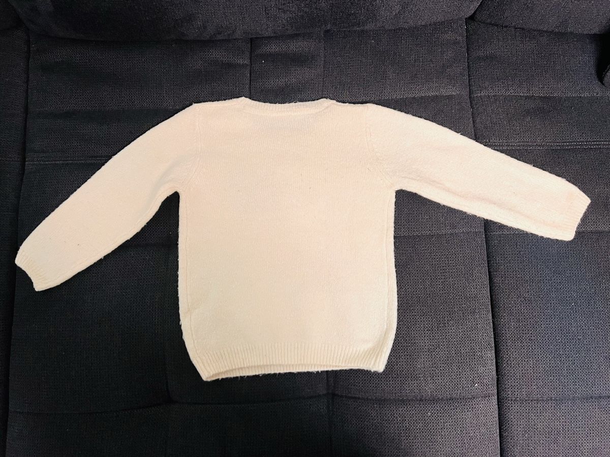 Maglioni & Felpe: Mädchen Pullover, Grösse 110 – Usato da Dietikon venduto da Laiijka 3