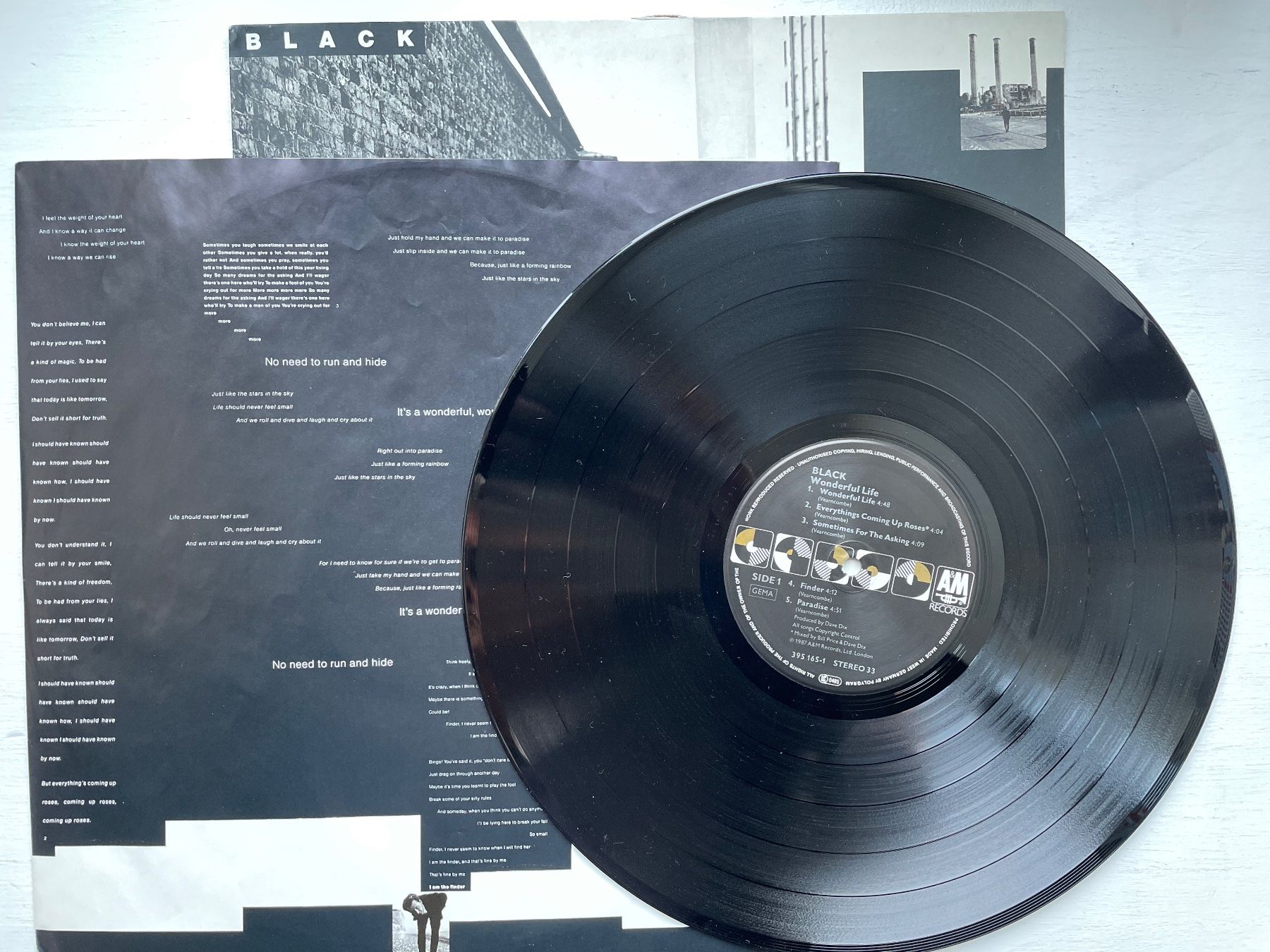 Dischi in vinile: Black - Wonderful Life - LP, 1987 – Usato da Zürich venduto da Andy_t71 2