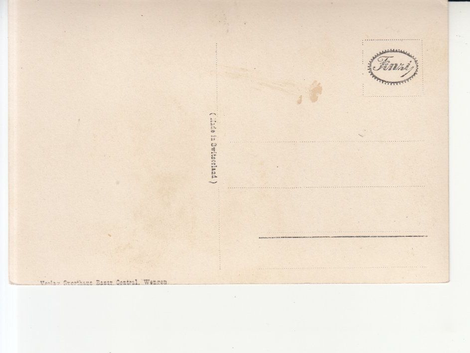 Cartoline postali: Wengen Jungfrau ca. 1925 – Usato da Bürglen TG venduto da StampGraf 1