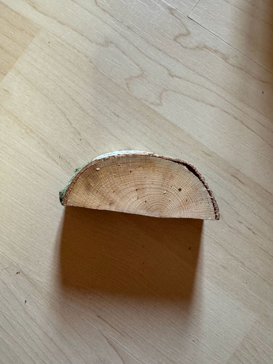 Tutte le decorazioni: Holzscheiben-Kartenhalter 🌲  – Usato da Döttingen venduto da xdk_77tk 5